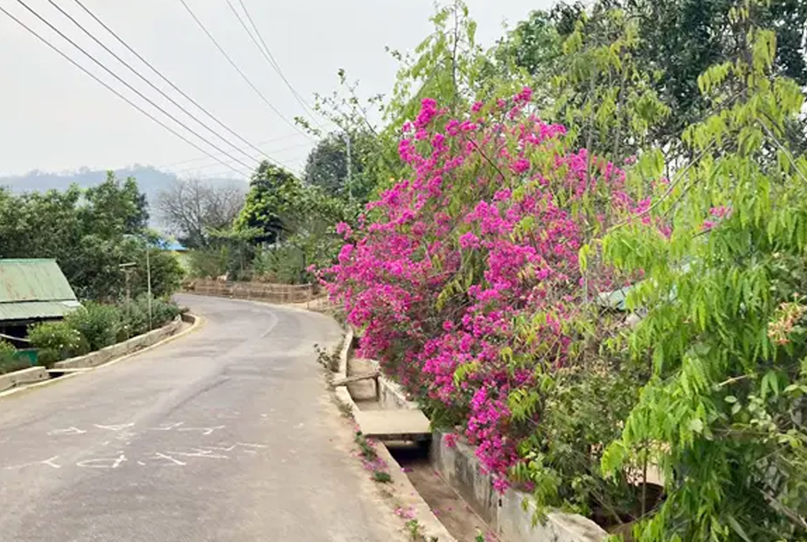 পাহাড়ি পর্যটনে নতুন সম্ভাবনার নাম মুনলাই পাড়া