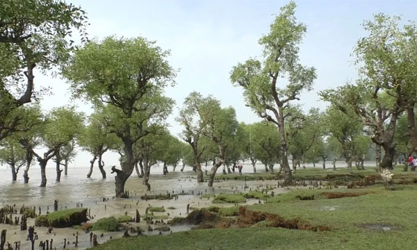 ঈদে ভ্রমণপ্রেমীদের জন্য প্রস্তুত বরগুনার পর্যটন স্পটগুলো