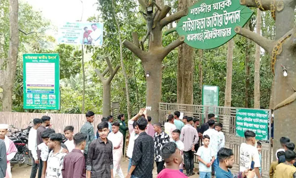 তিন দিনে লাউয়াছড়ায় আয় ছাড়াল ৫ লাখ