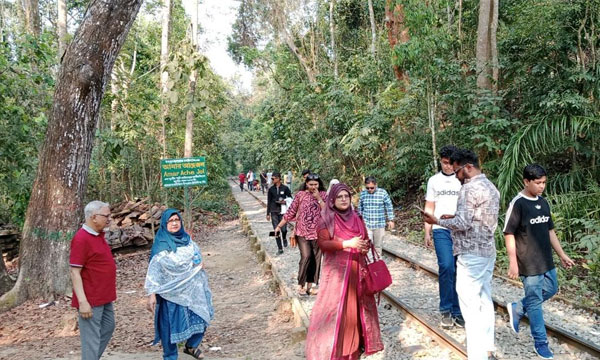 পর্যটকের হইচইয়ে নীরবতা হারাচ্ছে লাউয়াছড়া