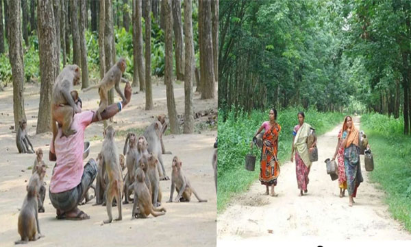 একদিনেই ঘুরে আসুন ফুলবাড়ীয়ার দর্শনীয় স্থান