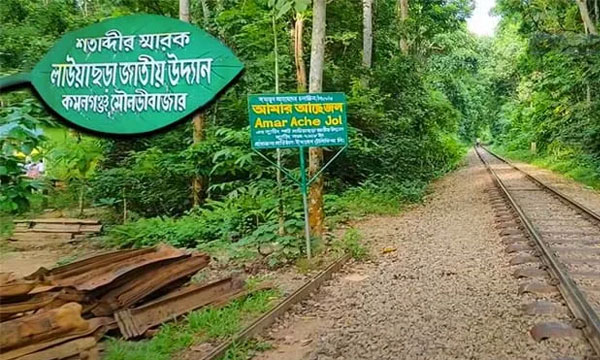 সংকটের মুখে লাউয়াছড়া জাতীয় উদ্যান, নিয়ন্ত্রণহীনতা বাড়াচ্ছে ঝুঁকি