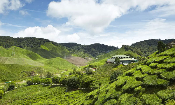 মালয়েশিয়া ভ্রমণের আগে যা জানা জরুরি