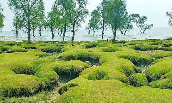 সীতাকুণ্ডে সৈকত ভ্রমণে গিয়ে আহত ৮ পর্যটক