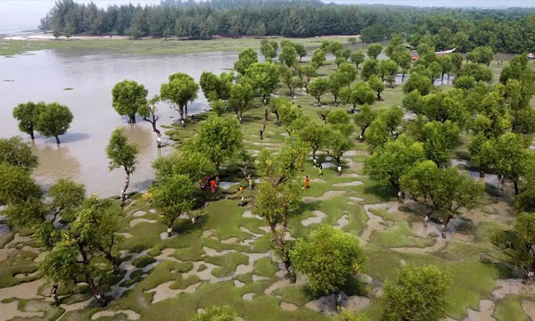 কুয়াকাটার বিকল্প গন্তব্য হতে পারে নিদ্রার চর
