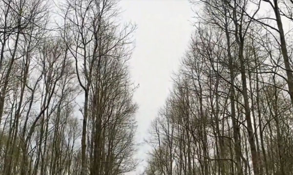 পর্যটকদের চাপে হুমকিতে শেরপুরের আগর বাগান