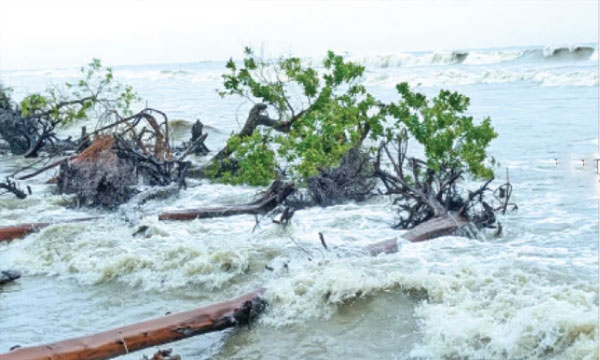 কুয়াকাটা সৈকতে সাগরভাঙন বেড়েই চলেছে