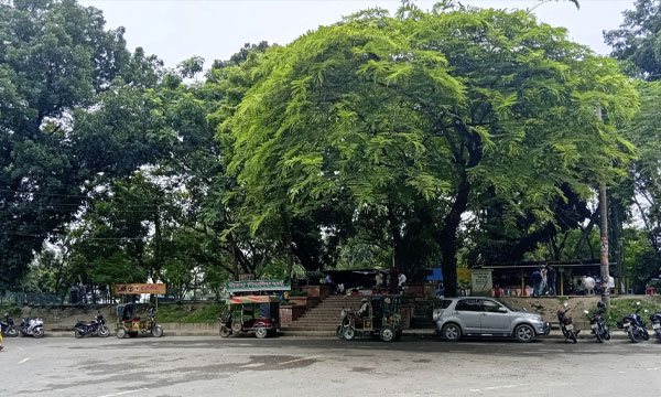 পদ্মার চরের শিমলা পার্কে জীববৈচিত্র্য রক্ষায় নীতিগত অনুমোদন