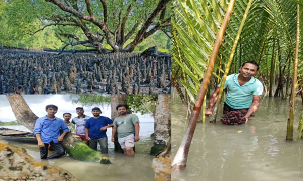 কাশিয়াবাদ হতে পারে দেশের নতুন ইকো-পর্যটন কেন্দ্র