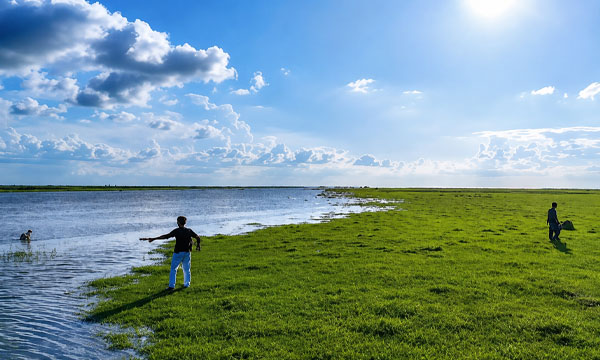 রাজশাহীর পদ্মার চরে বাড়ছে পর্যটকের ভিড়