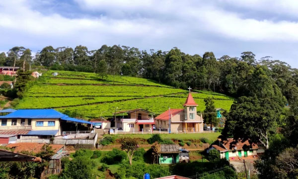 মেঘ, বৃষ্টি আর চা-বাগানে সাজানো ভারতের নীলগিরির কোটাগিরি
