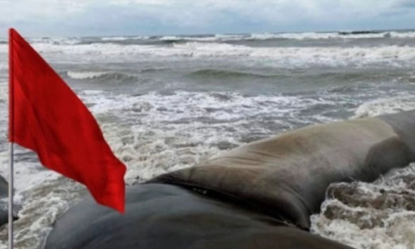 সাগরে লঘুচাপ, কক্সবাজারসহ চার বন্দরে ৩ নম্বর সংকেত