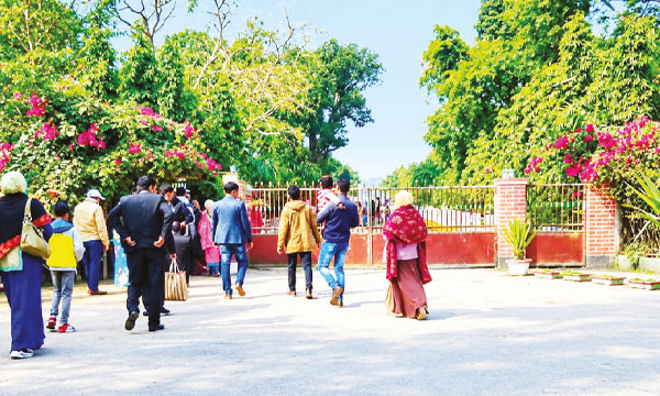 তালগাছের সারি পেরিয়ে যে পার্কে মেলে প্রকৃতির শান্তি