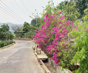 পাহাড়ি পর্যটনে নতুন সম্ভাবনার নাম মুনলাই পাড়া