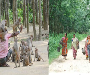 একদিনেই ঘুরে আসুন ফুলবাড়ীয়ার দর্শনীয় স্থান