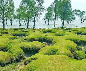 সীতাকুণ্ডে সৈকত ভ্রমণে গিয়ে আহত ৮ পর্যটক