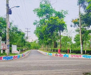 পর্যটকদের নতুন আকর্ষণ শ্রীমঙ্গলের রঙিন সড়ক