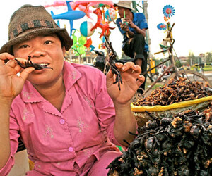 ব্যতিক্রমী ১১ খাবার, যেগুলো খেতে সাহসও লাগে