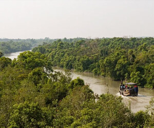 কেন জীবনে একবার সুন্দরবন ঘুরে আসবেন?